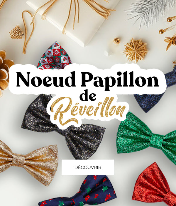 Noeud papillon reveillon noel paillettes unipap's