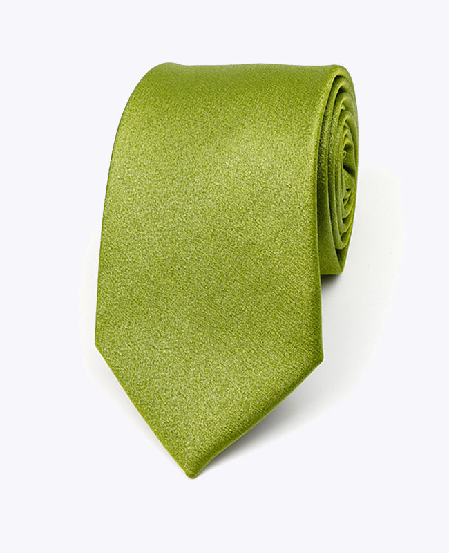 Cravate à Paillette Vert n°1 Homme en Polyester | Armand - Unipap's