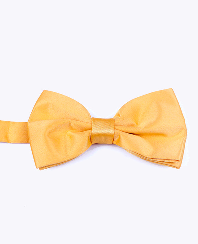 Noeud Papillon Jaune n°1 Homme en Polyester «Anatole»