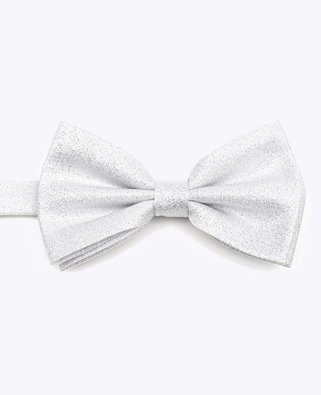 Noeud Papillon à Paillette Argent n°1 Homme en Polyester | Isidore - Unipap's