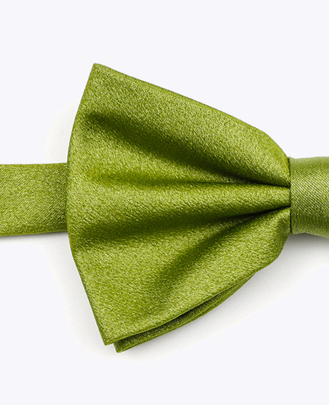 Noeud Papillon à Paillette Vert n°1 Homme en Polyester | Armand - Unipap's