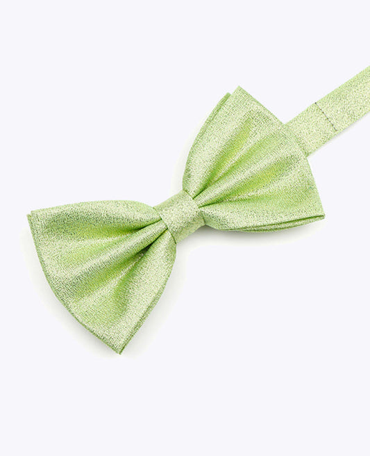 Noeud Papillon à Paillette Vert n°2 Homme en Polyester | Isidore - Unipap's