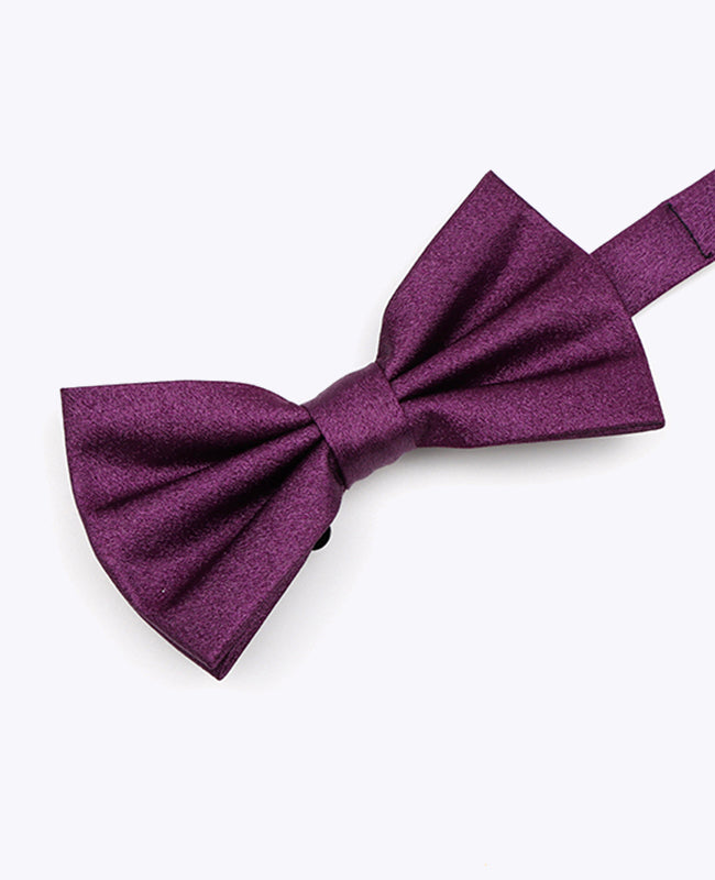 Noeud Papillon à Paillette Violet n°1 Homme en Polyester | Armand - Unipap's