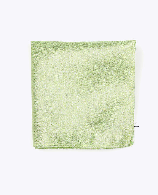 Pochette de Costume à Paillette Vert n°2 en Polyester | Isidore - Unipap's