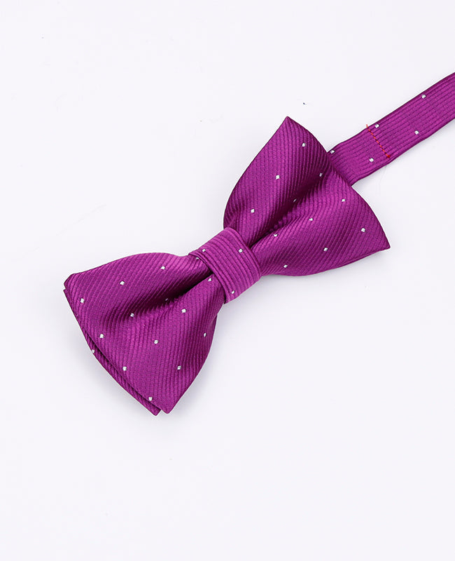 Noeud Papillon Violet Enfant en Polyester | Georges - Unipap's