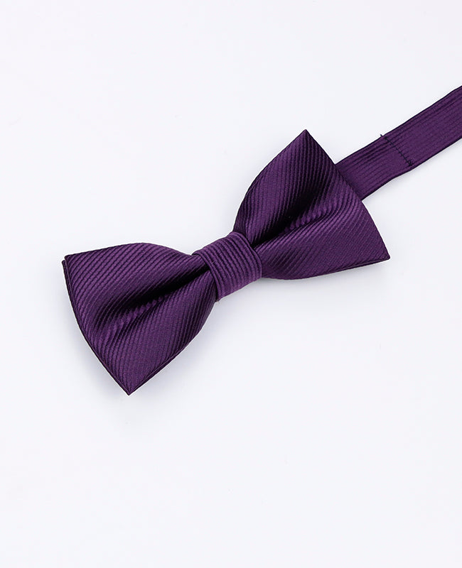 Noeud Papillon Violet n°2 Enfant en Polyester | Lucien - Unipap's