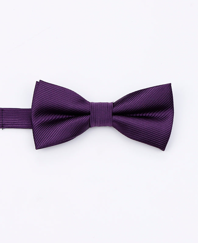 Noeud Papillon Violet n°2 Enfant en Polyester | Lucien - Unipap's