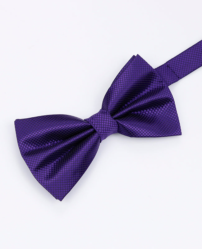 Noeud Papillon Violet n°2 Homme en Polyester | Martin - Unipap's