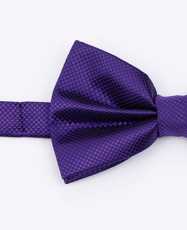 Noeud Papillon Violet n°2 Homme en Polyester | Martin - Unipap's