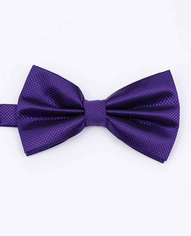 Noeud Papillon Violet n°2 Homme en Polyester | Martin - Unipap's