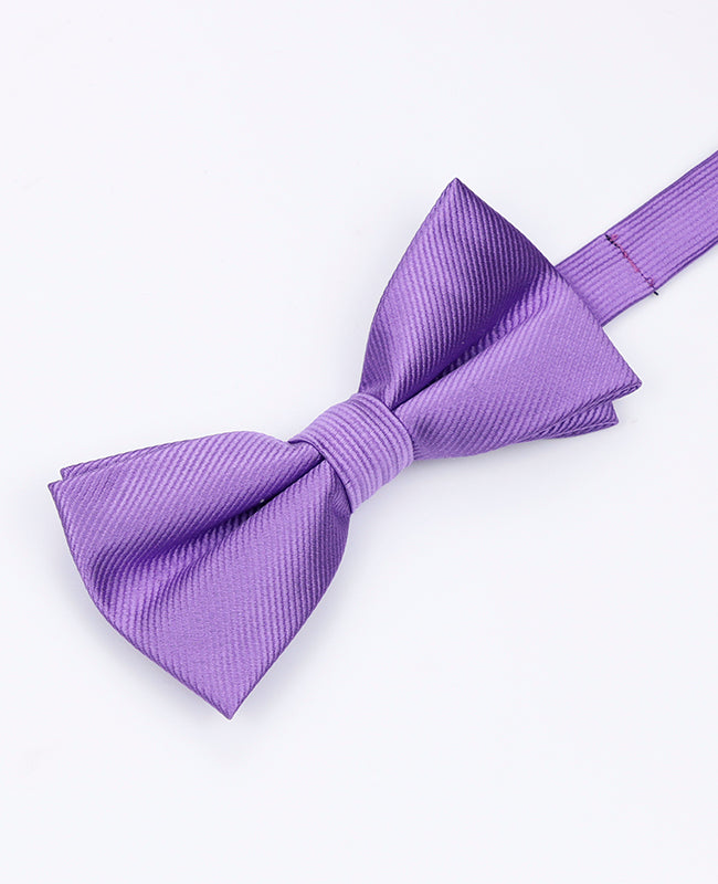 Noeud Papillon Violet n°3 Homme en Polyester | Lucien - Unipap's