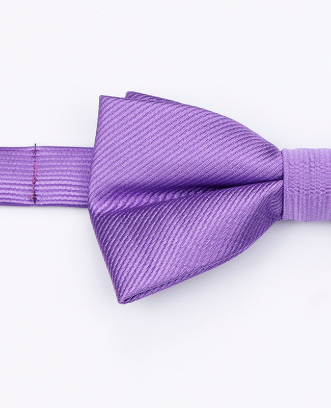 Noeud Papillon Violet n°3 Homme en Polyester | Lucien - Unipap's